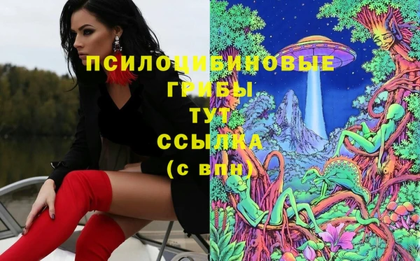 кокс Богданович